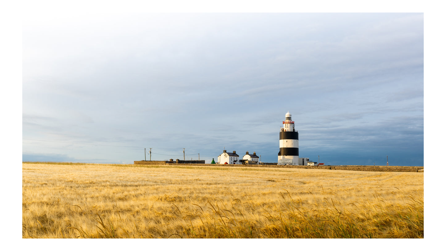 'HARVEST DAY' - HOOK HEAD