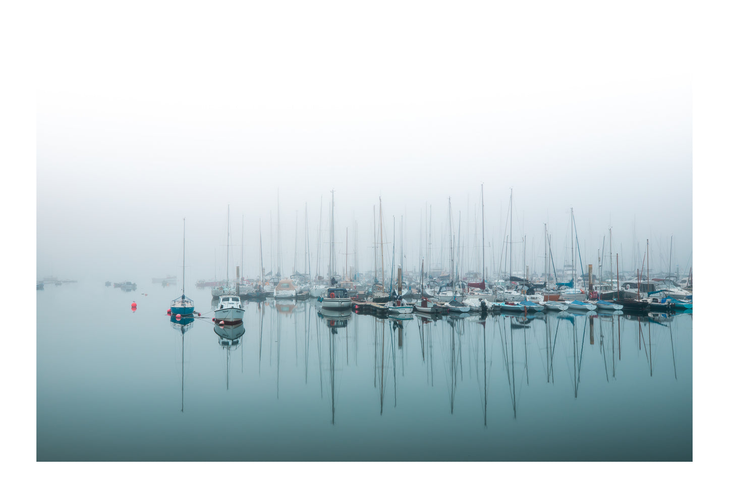 'MARINA MIST' - KINSALE