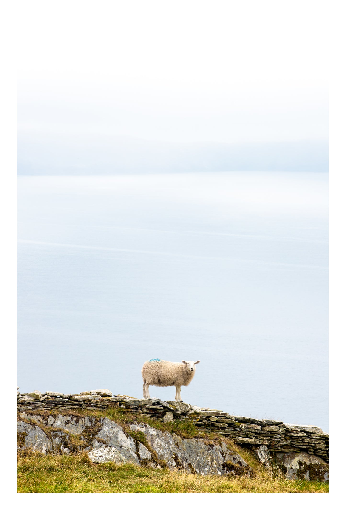 'THE LOOKOUT'